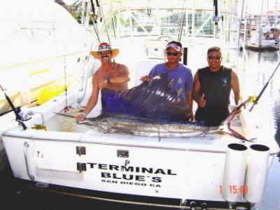 80 inch Sail Fish